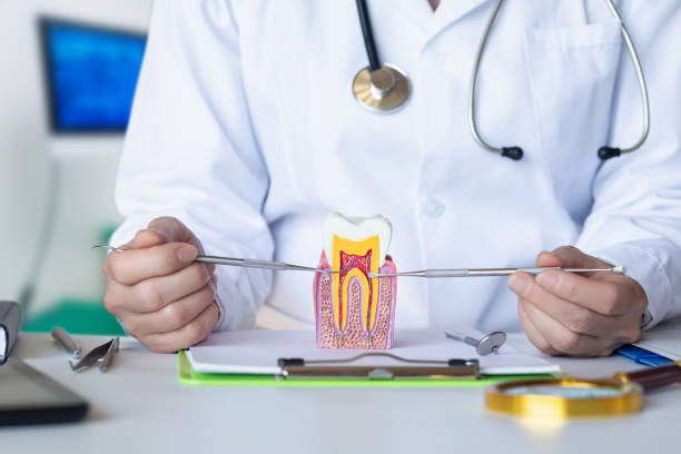 Best Chipped Tooth Repair Near Me  in Atasdero, CA